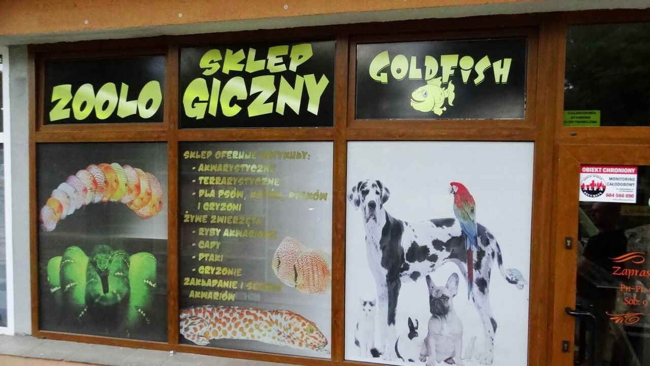 „Goldfish”-sklep zoologiczny