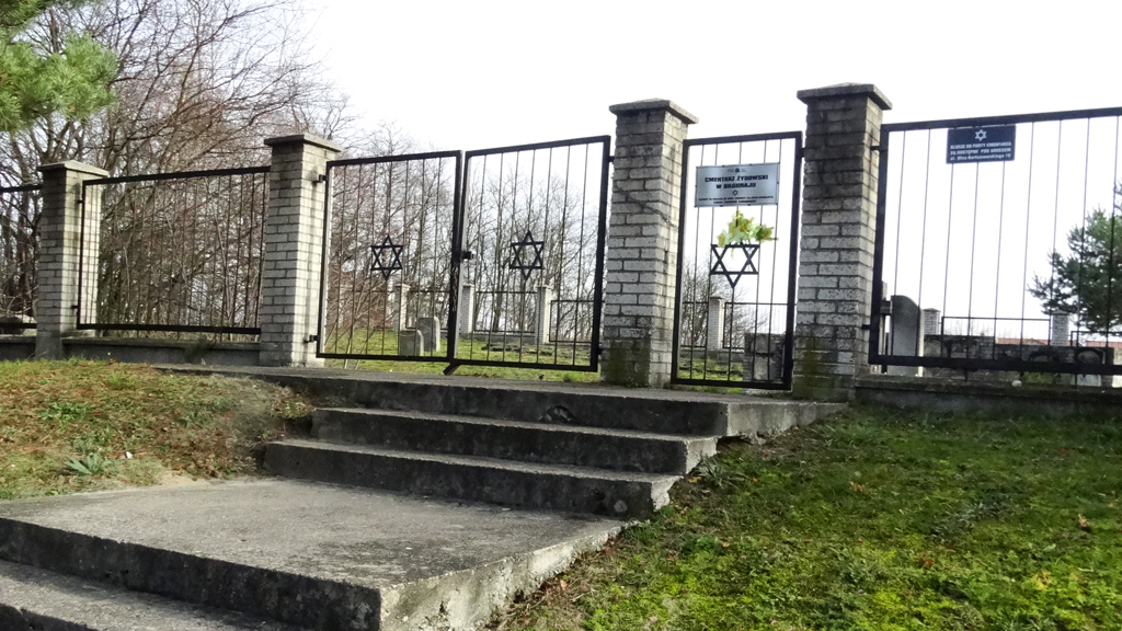 Cmentarz Żydowski (4)